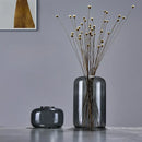 Axyaa Glass Vase Aromatherapy Bottle - Desktop Decor & Hydroponic Flower Pot