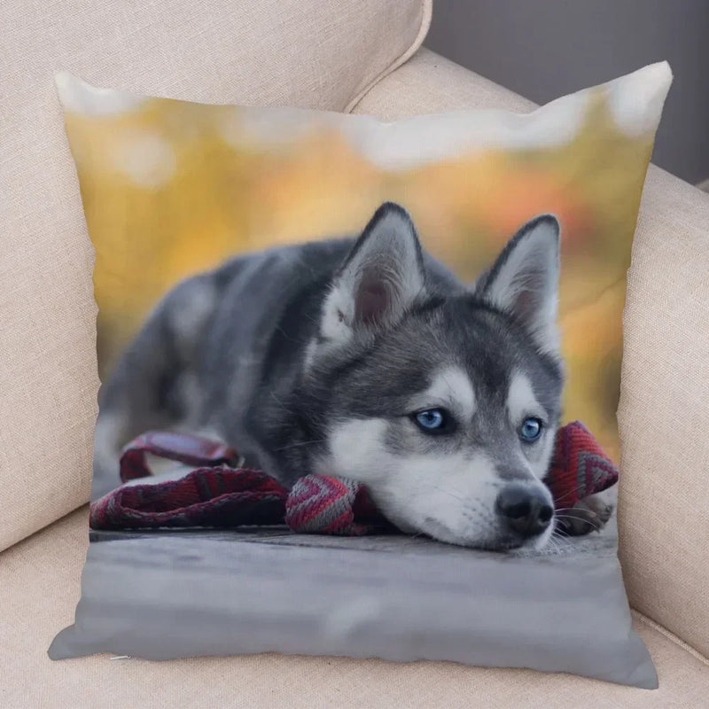 Axyaa Siberian Husky Pet Sofa Cushion Cover - Cute Dog Print Pillowcase Decor