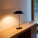 Axyaa Rechargeable Dimmable Desk Lamp Modern Romantic LED Night Light