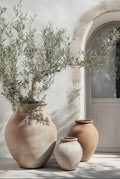 Axyaa Lemon Orange Olive Tree Canvas Poster: Mediterranean Greek Landscape Wall Art for Modern Home