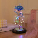Axyaa Eternal Rose Night Light - LED Beauty and the Beast Magic Flower Lamp