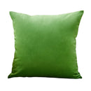 Axyaa Grass Green Velvet Cushion Covers 45x45cm Nordic Home Decor Sofa Pillowcases