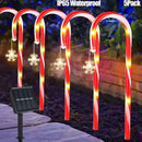 Axyaa Solar Cane Lights Set for Outdoor Garden Decoration
