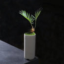 Axyaa Mini Ice Crack Glaze Succulent Pot - Small Straight Ceramic Flower Pot