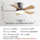 Axyaa Modern Nordic Ceiling Fan Light 5-Leaf LED Children Bedroom Decor