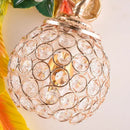 Axyaa Peacock Wall Lamp Sconce Light for Living Room Bedroom
