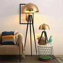Axyaa Modern Floor Lamps for Living Room, Bedroom, and Home Decor