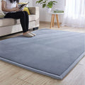 Axyaa Coral Fleece Tatami Floor Mat for Soft Bedroom Living Room Rugs