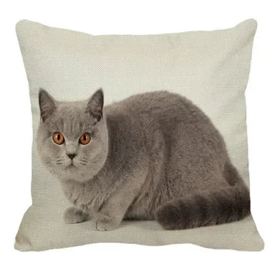 Axyaa British Shorthair Cat Pillow Cover 45X45cm Square Cushion