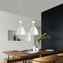Axyaa Modern Nordic Chandelier: LED Pendant Light for Kitchen & Living Room Lighting