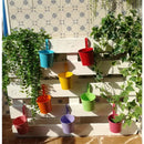 Axyaa Metal Hanging Planter Basket Flower Pots Vase with Drainage Hole