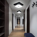 Axyaa Modern LED Ceiling Lamp for Home Lighting | Minimalist Style Kitchen Fixtures
