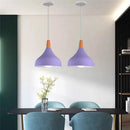 Axyaa Modern Multicolour Pendant Lights for Restaurant and Cafe Lighting